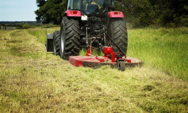 Brush Clearing Service in Bellevue