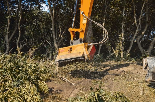 Brush Removal Service in Bellevue