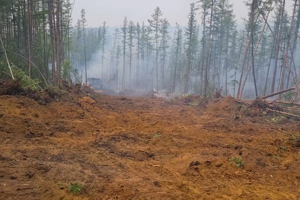 Cost of Hill Clearing in Bellevue